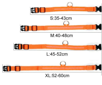 Bright LED Pet Safety Collar