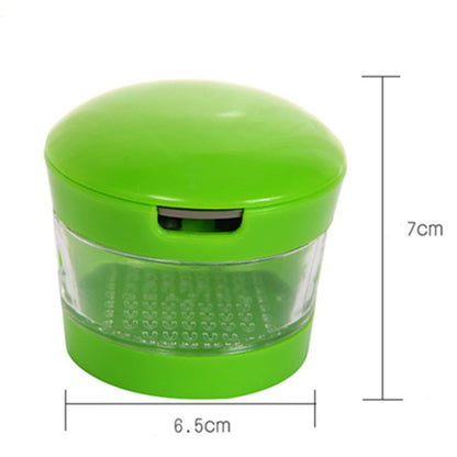 Compact Manual Garlic Crusher Press