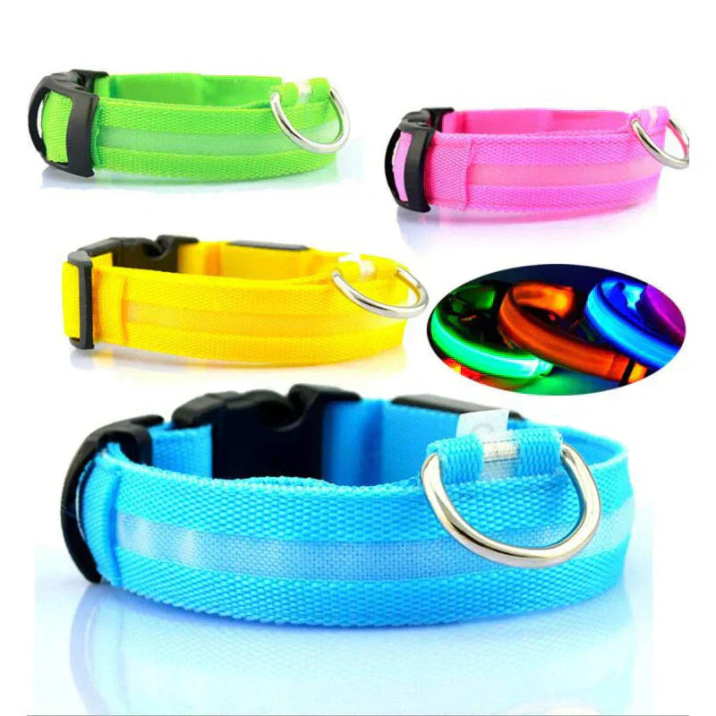 Bright LED Pet Safety Collar