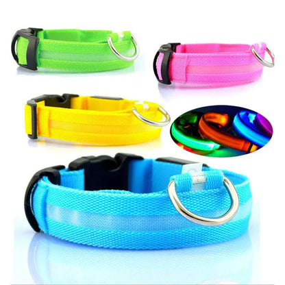 Bright LED Pet Safety Collar