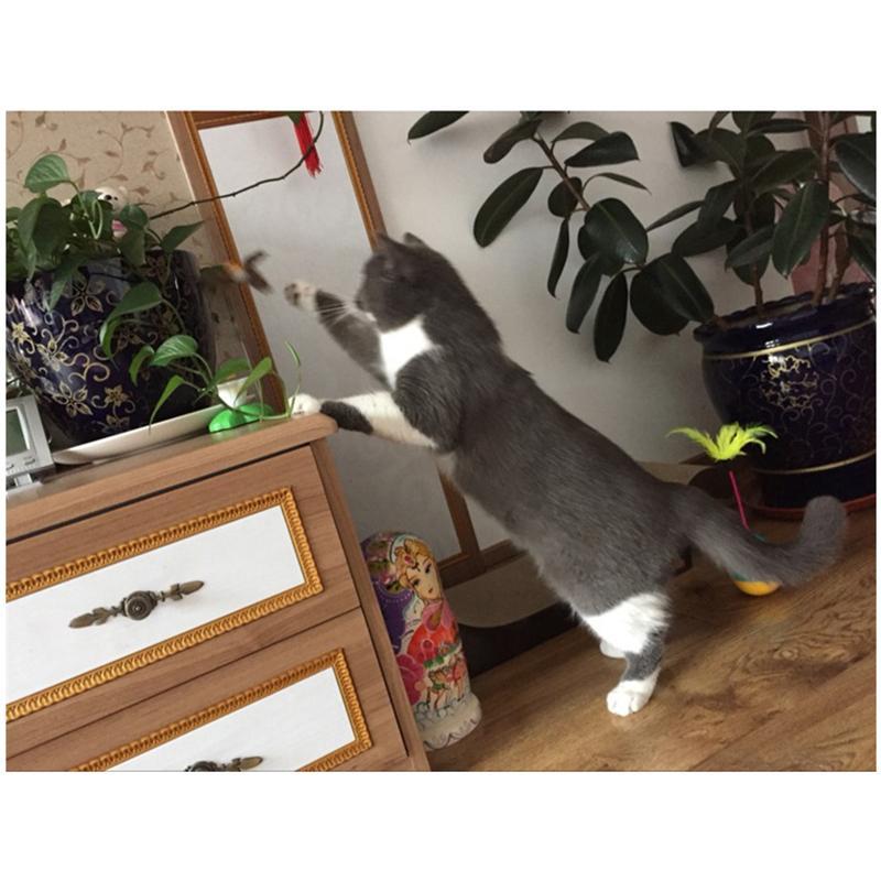Fun Interactive Spinning Cat Toy