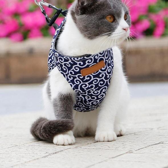 Fesara | Cute Kitty Walking Harness Set - Fesara