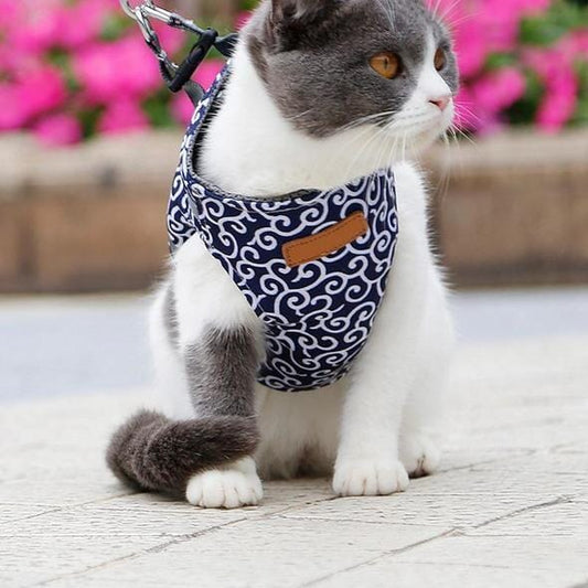 Fesara | Cute Kitty Walking Harness Set - Fesara