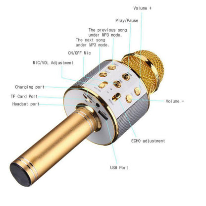 Portable Bluetooth Karaoke Mic