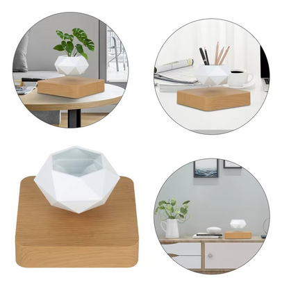 Unique Floating Bonsai Pot for Home Decor
