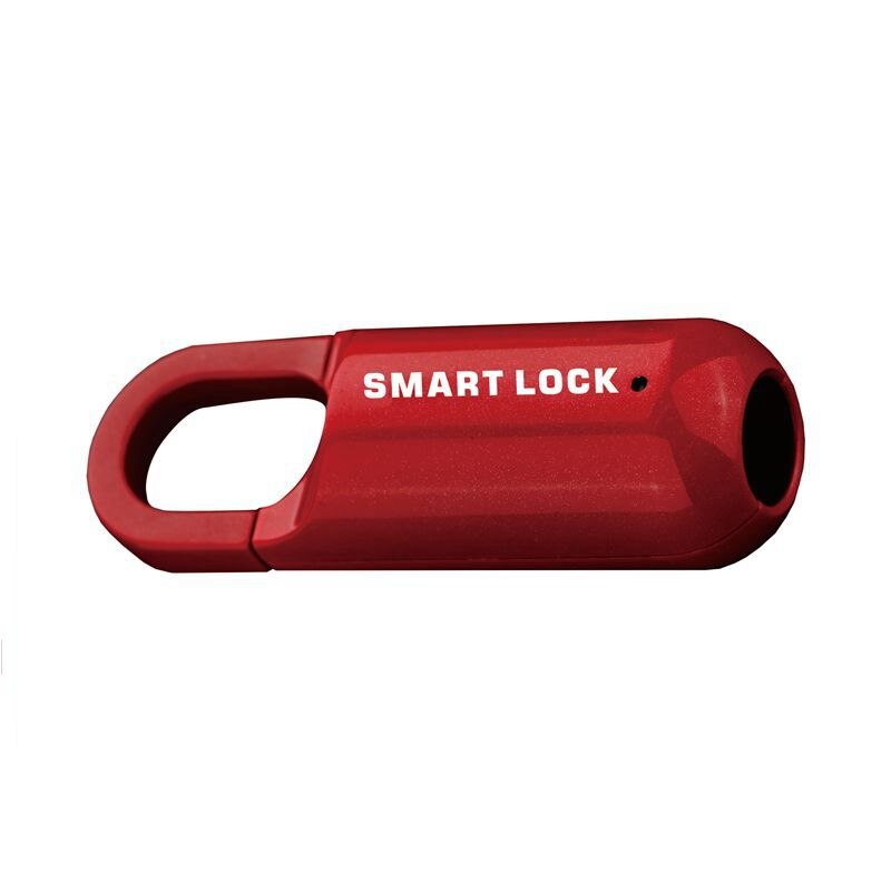 Compact Digital Fingerprint Lock Box - Fesara