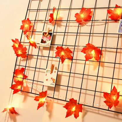 Colorful Fall String Lamp Set
