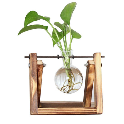 Easy Grow Plant Cutting Pots - Fesara