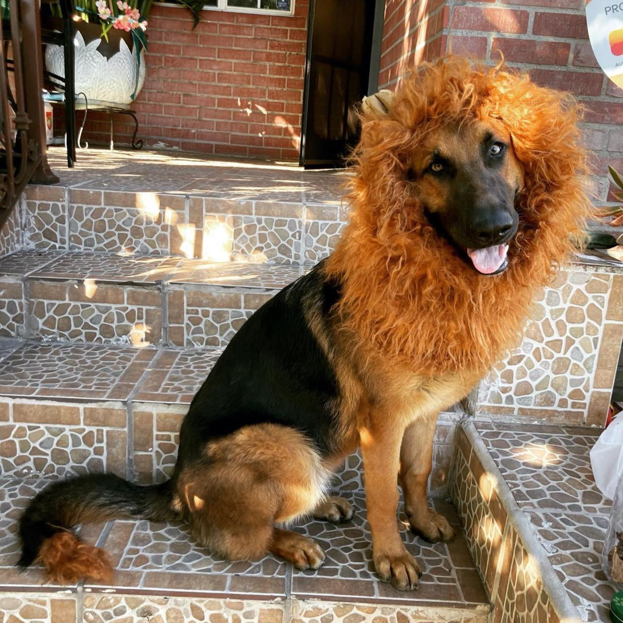 Fun Lion Mane Dog Costume Accessory - Fesara