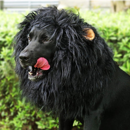 Fun Lion Mane Dog Costume Accessory