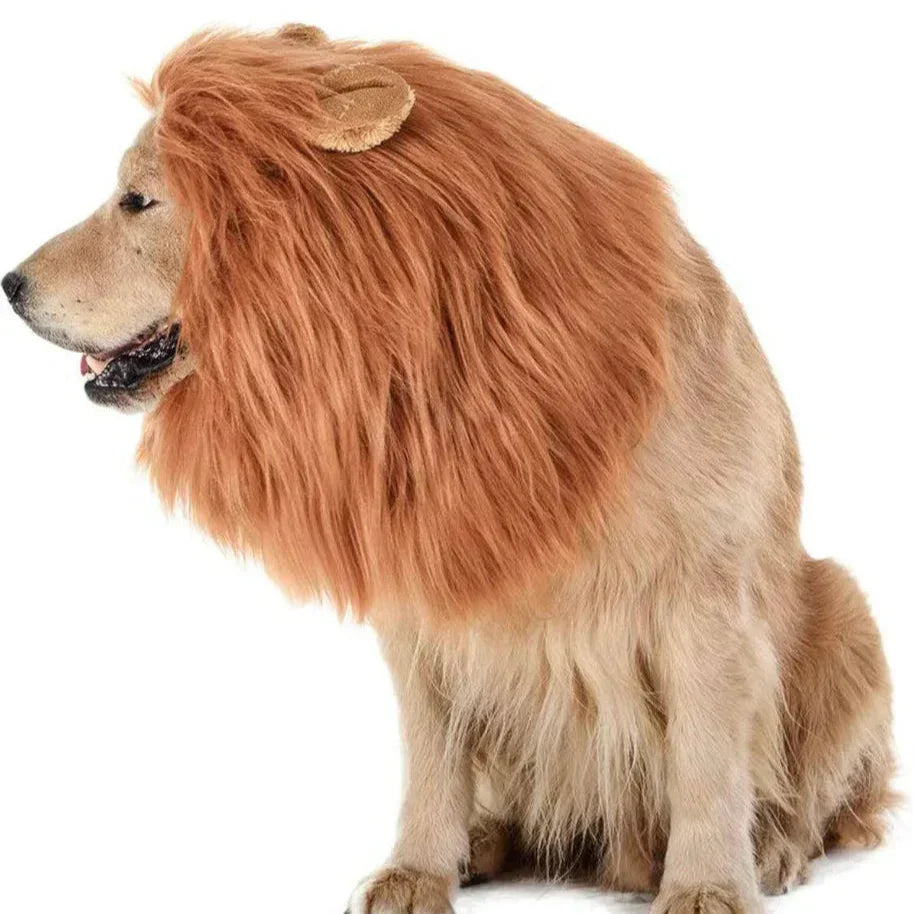 Fun Lion Mane Dog Costume Accessory