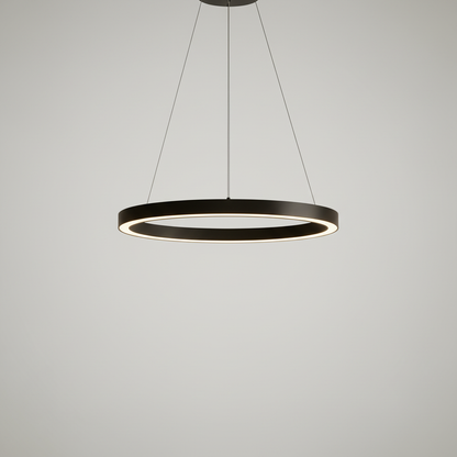 Stylish LED Hanging Ceiling Light