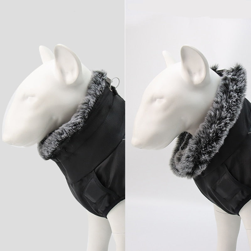 Waterproof Dog Coats for Winter