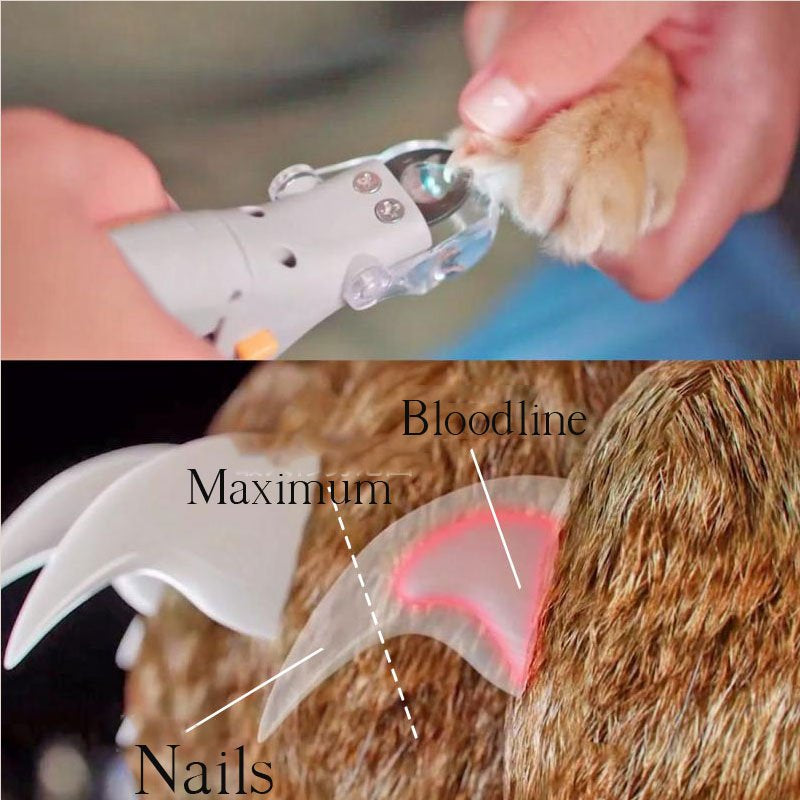 Pet Nail Clipper Set, Safe Dog Toenail Trimmer