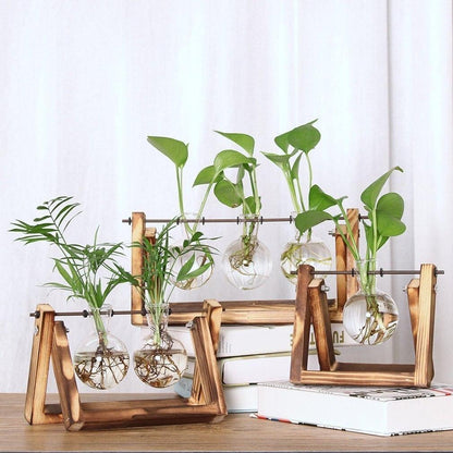 Easy Grow Plant Cutting Pots