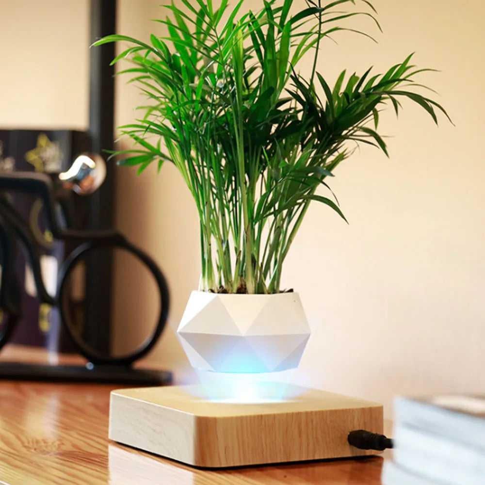 Floating Mini Bonsai Tree Planter