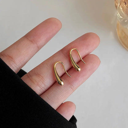 Delicate Sterling Silver Teardrop Hook Earrings - Fesara
