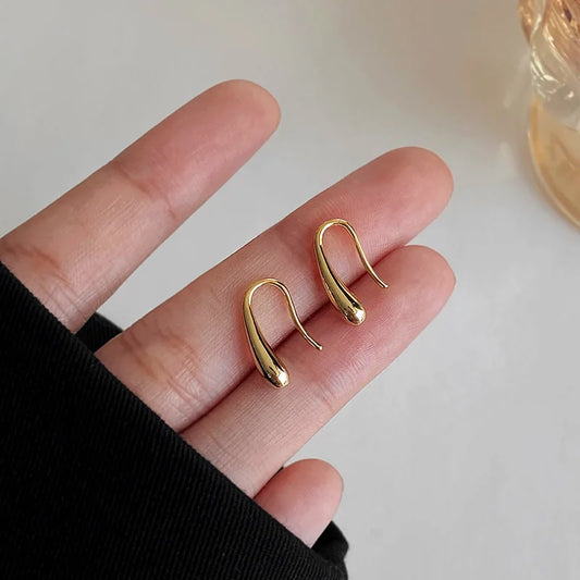 Delicate Sterling Silver Teardrop Hook Earrings - Fesara