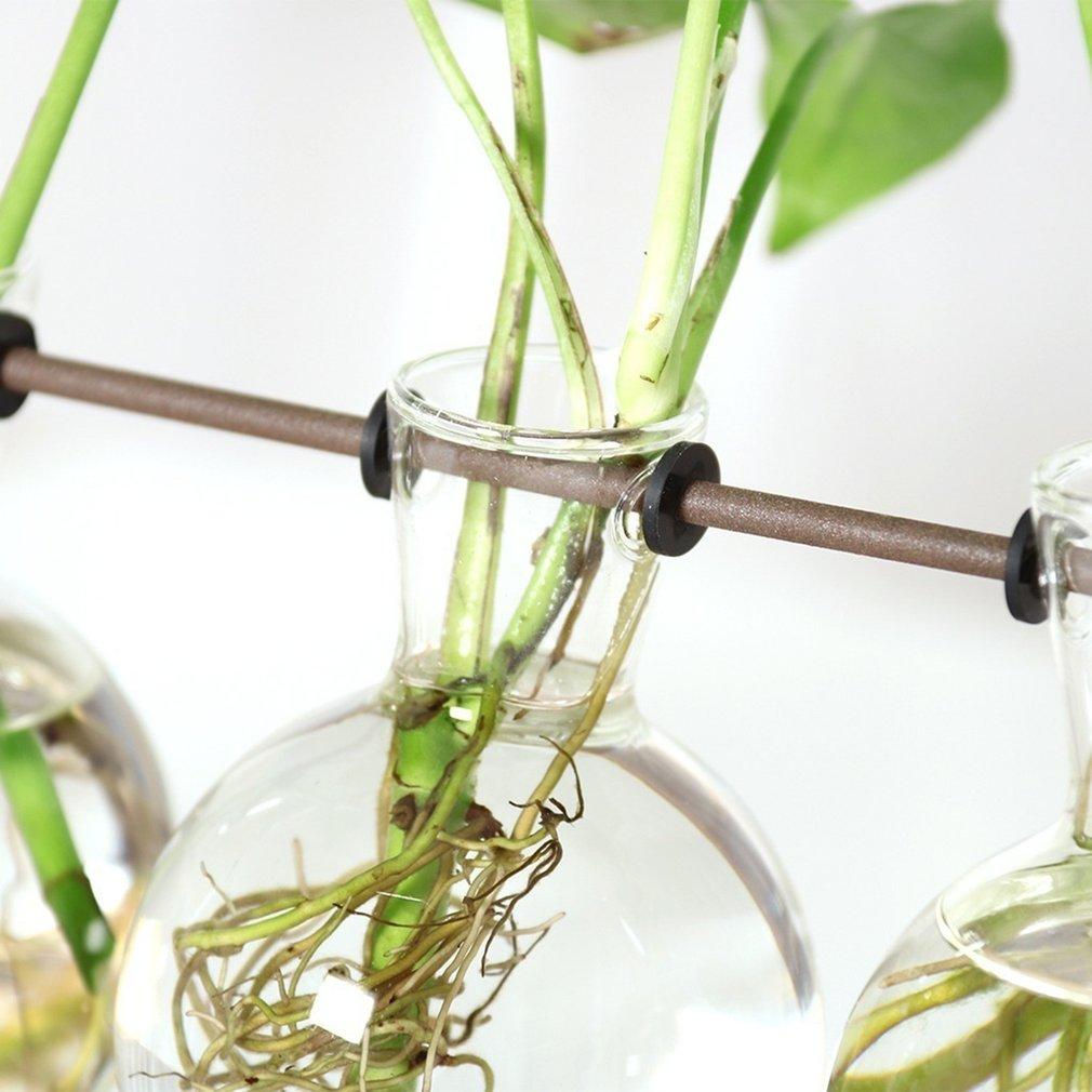 Easy Grow Plant Cutting Pots