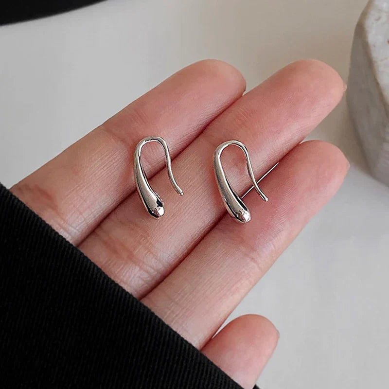 Delicate Sterling Silver Teardrop Hook Earrings