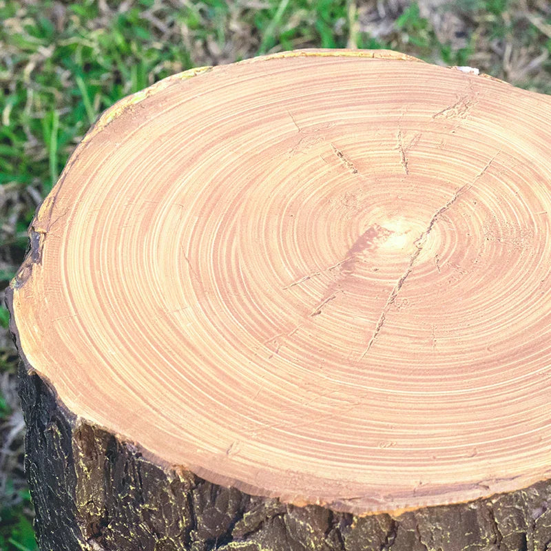 Creative Tree Stump Garden Light - Energy-Efficient Outdoor LED Lights, 50,000-Hour Lifespan-6