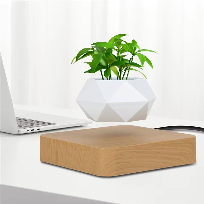 Unique Floating Bonsai Pot for Home Decor