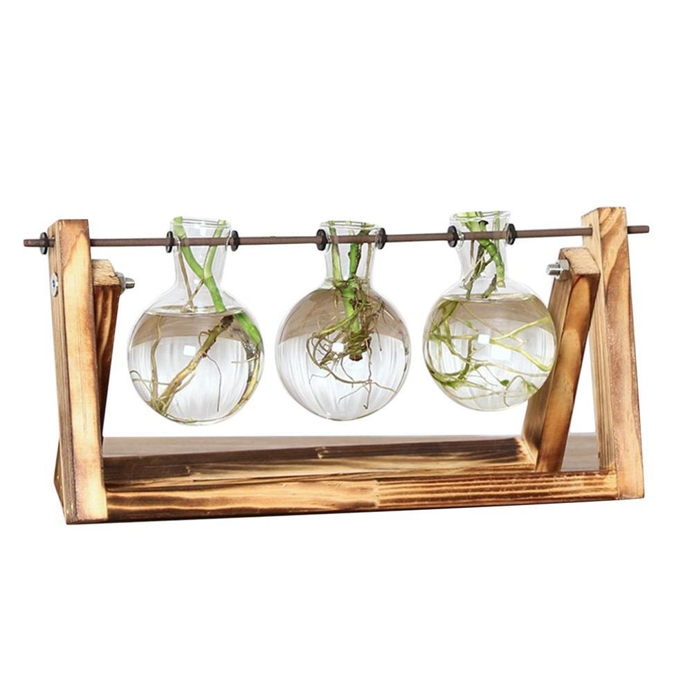 Easy Grow Plant Cutting Pots