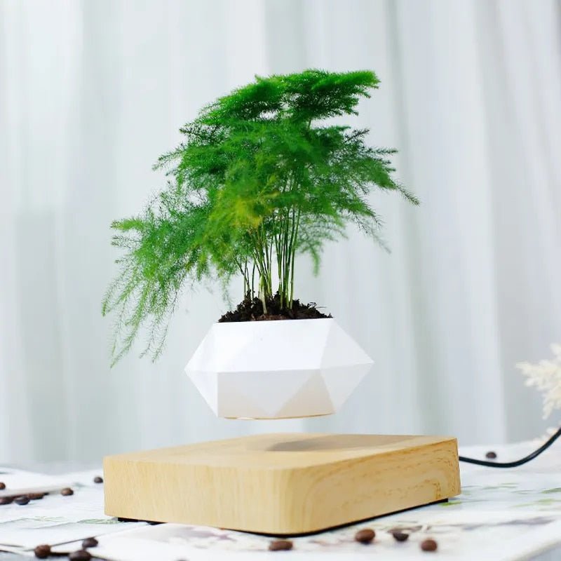Unique Floating Plant Decor