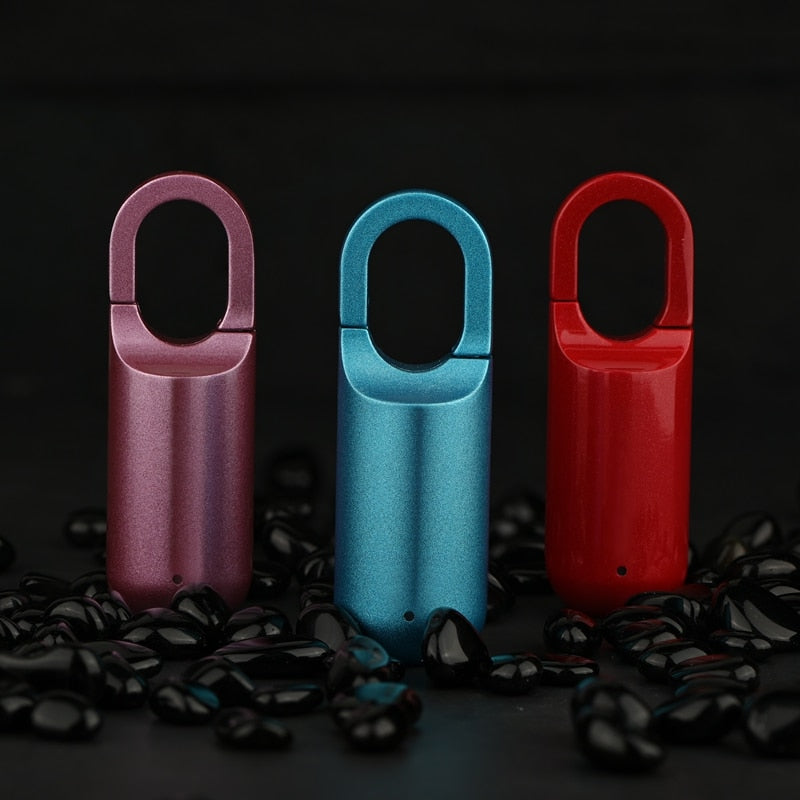Compact Digital Fingerprint Lock Box