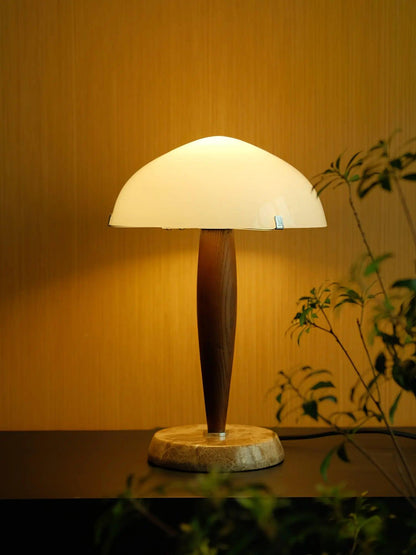 Modern Designer Desk Lamp