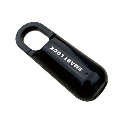 Compact Digital Fingerprint Lock Box