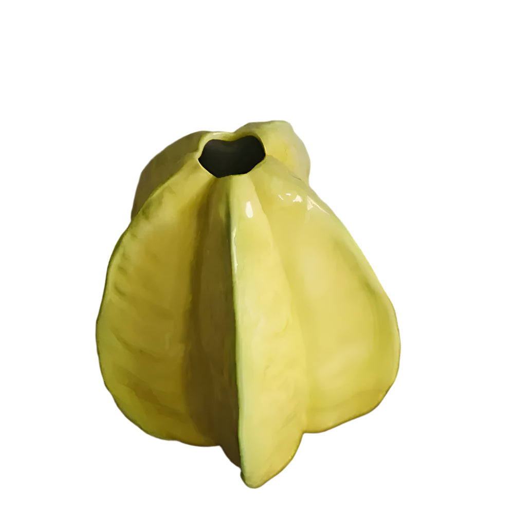 Unique Handmade Ceramic Floral Vase Starfruit Design
