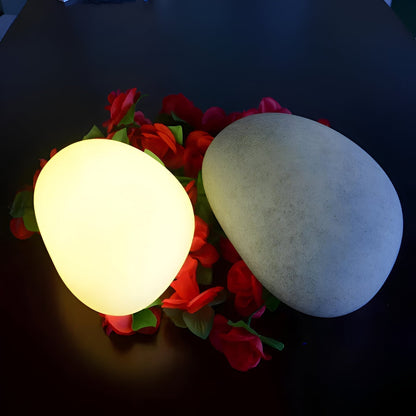 Solar Powered Outdoor Garden Lights with Remote