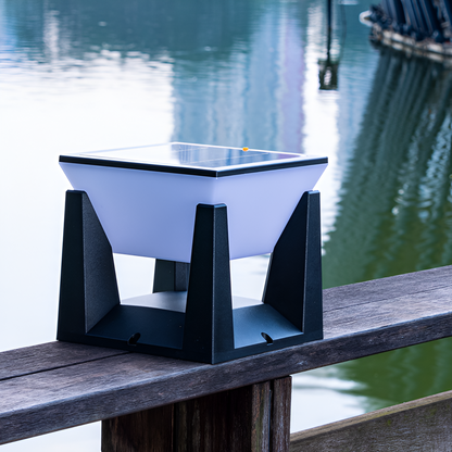 Outdoor Black Solar Garden Light
