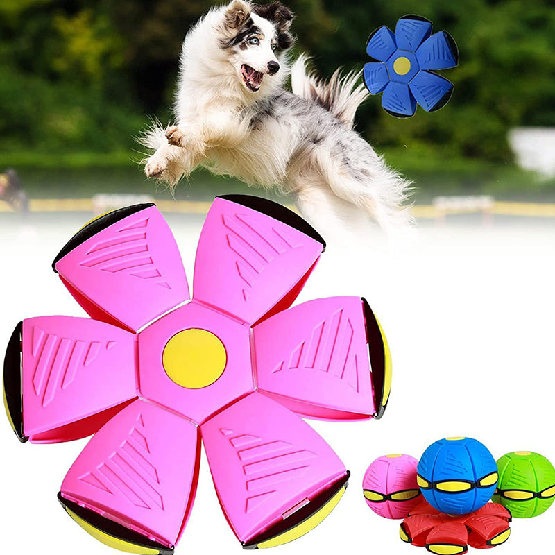 Fun Interactive Bouncing Ball Toy
