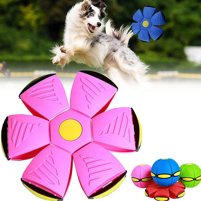 Fun Interactive Bouncing Ball Toy