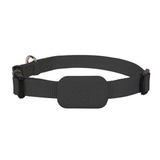 Pet GPS Tracker - Bluetooth Collar Locator - Fesara