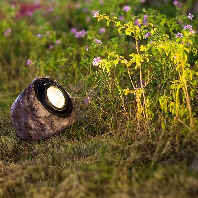 Outdoor Solar Powered Lamp Waterproof LED Garden Light