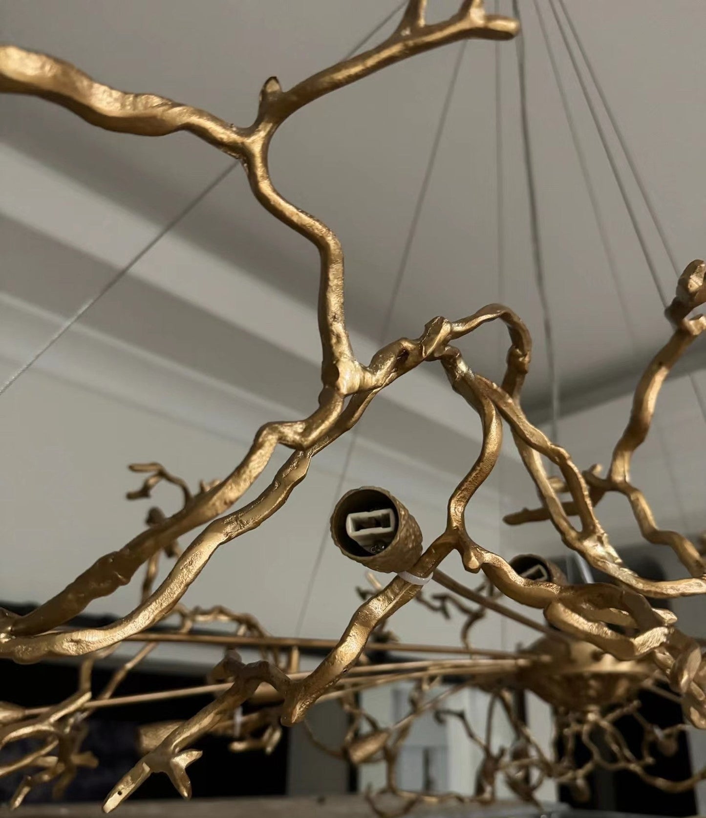 Unique Nature Inspired Hanging Lamp