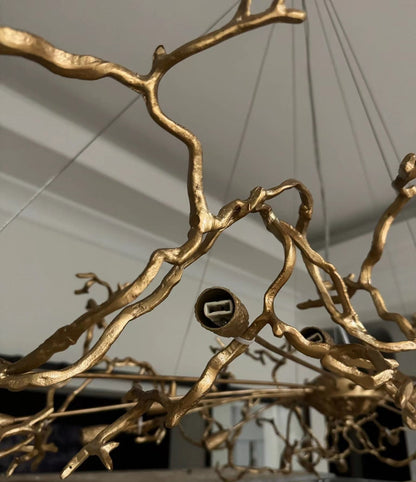 Unique Nature Inspired Hanging Lamp
