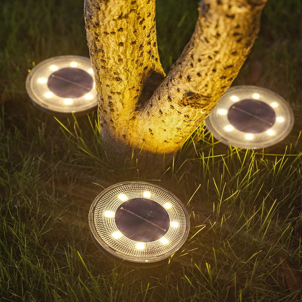 Bright Solar Powered Garden Lights