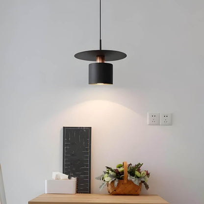 Modern Hanging Pendant Lamp