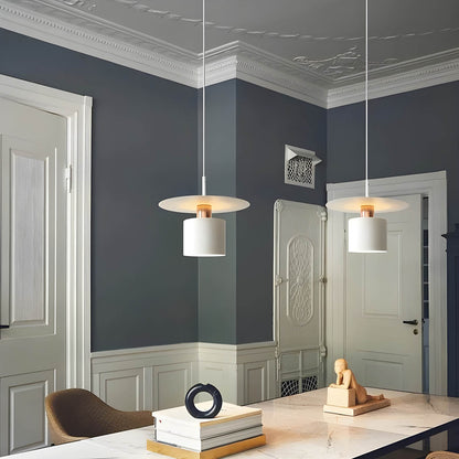 Modern Hanging Pendant Lamp