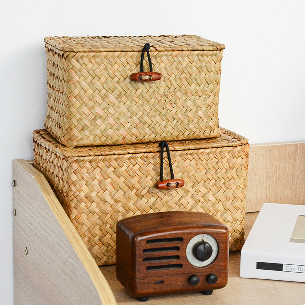 Space Saving Storage Box with Lid Home Organizer Container - Fesara