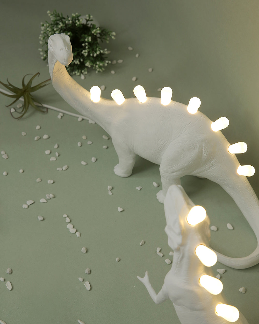 Colorful Desk Lamp with LED Backlight