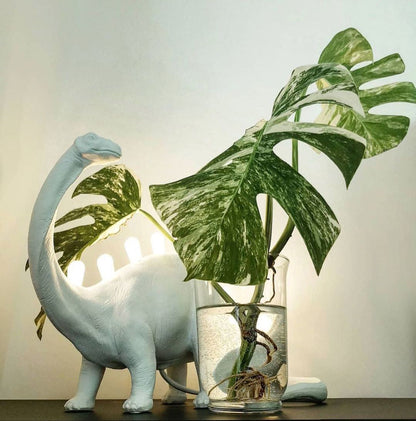 Colorful Desk Lamp with LED Backlight
