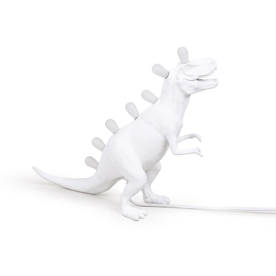 Colorful Desk Lamp with LED Backlight