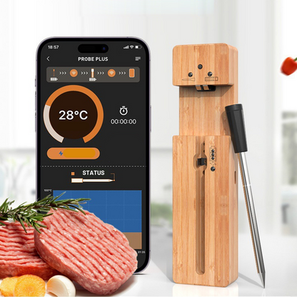 Digital BBQ Meat Thermometer for Perfect Grilling Results