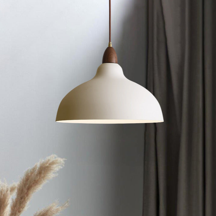 Nordic Style Hanging Light Fixture - Fesara