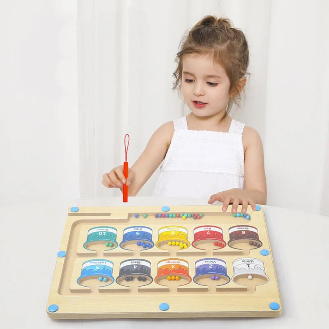 Educational Magnetic Maze Toy - Fesara